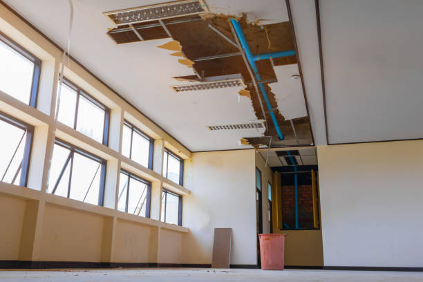 Best Flood damage cleanup  in Richmond, VA