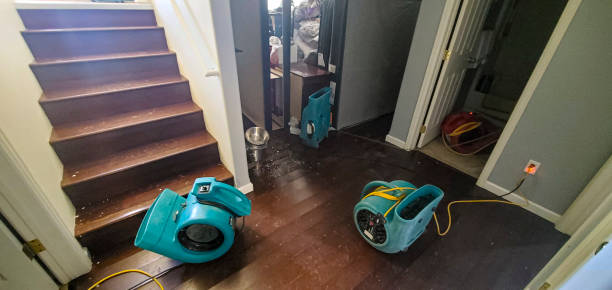 Best Water damage contractors near me  in Richmond, VA