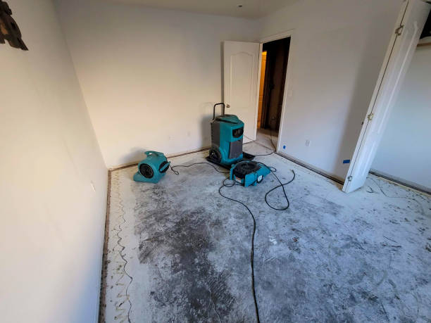 Local water damage restoration in VA