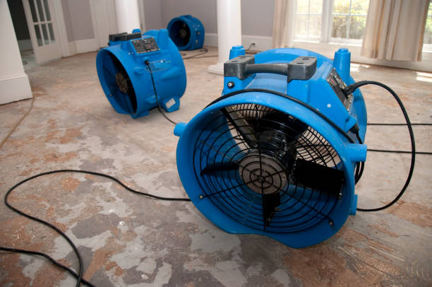 Water damage restoration process in VA