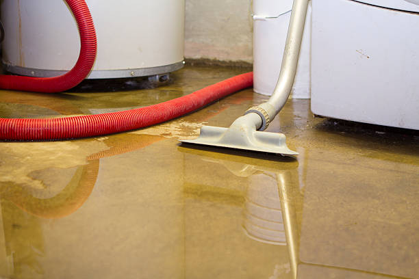 Best Flood restoration services  in Richmond, VA