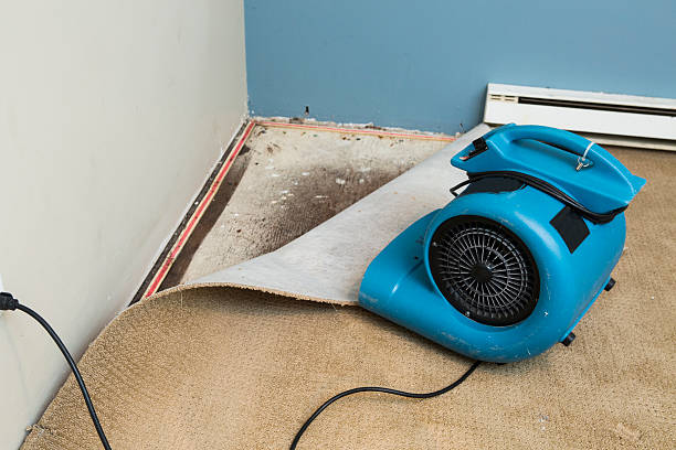 Best Water damage restoration specialists  in Richmond, VA